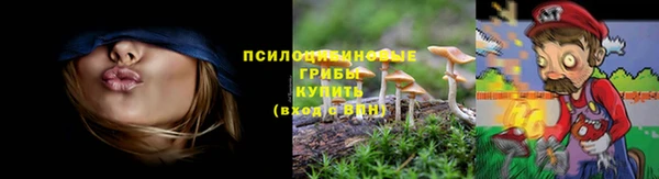 скорость Белокуриха