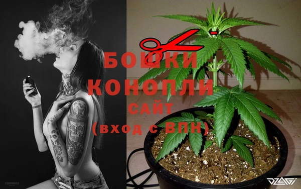 дурь Белоозёрский