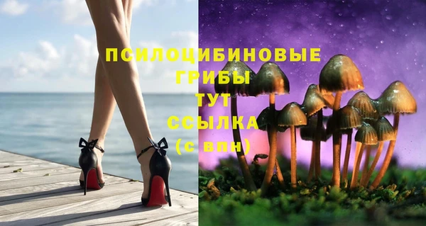 скорость Белокуриха