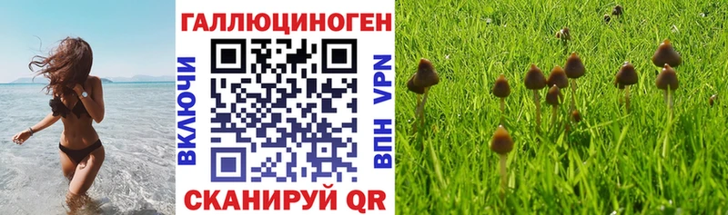 Псилоцибиновые грибы Psilocybine cubensis  Светлый 